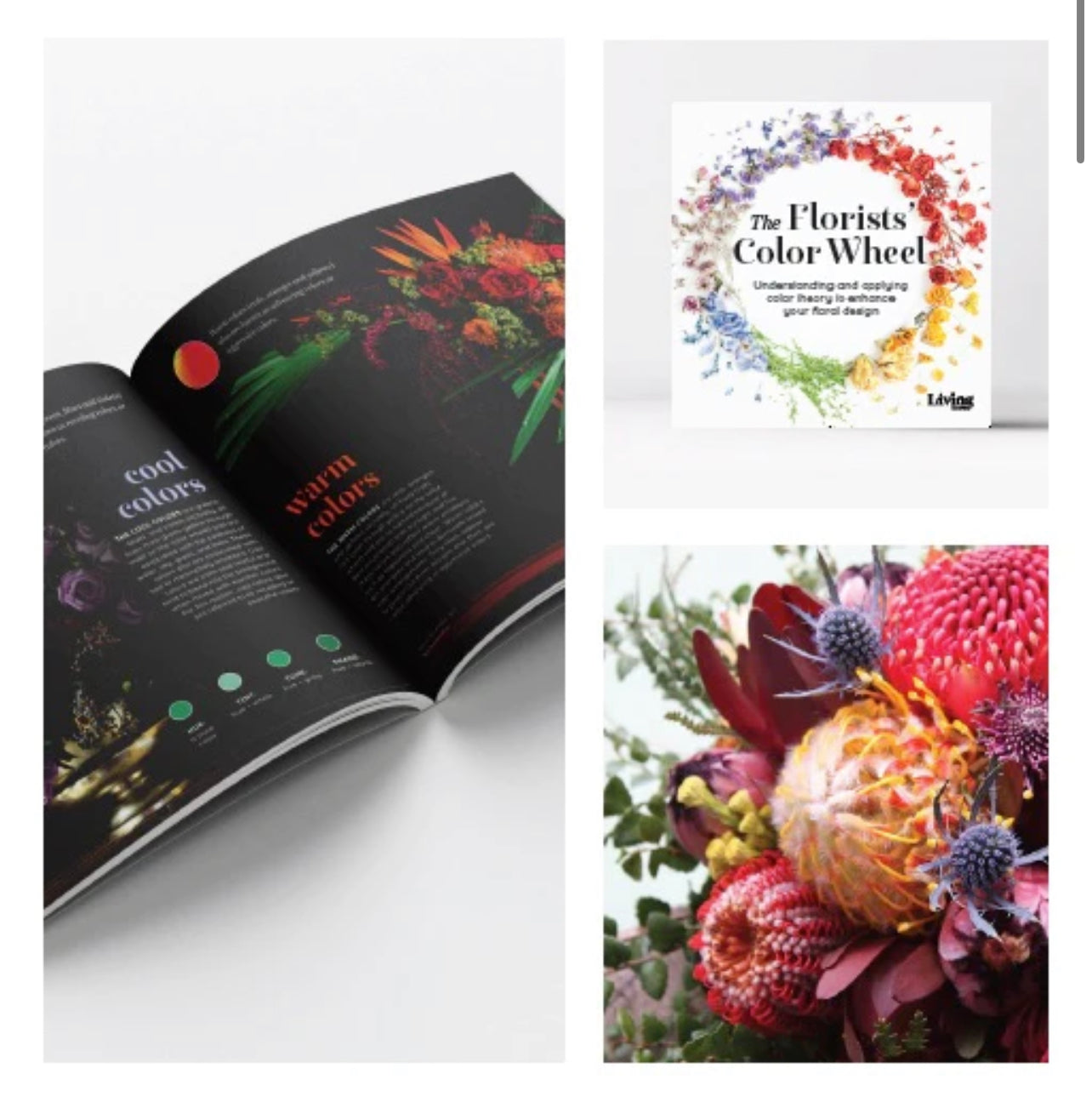 Florists' Color Wheel: A Guide to Floral Design Color Theory